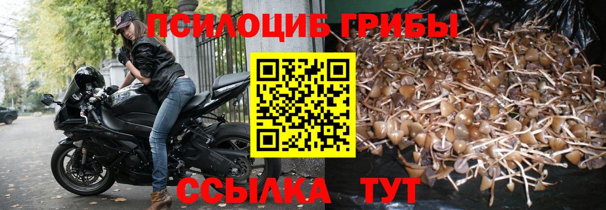 даркнет сайт  Псилоцибиновые грибы Magic Shrooms  Вход с VPN  Галлюциногенные грибы GOLDEN TEACHER  Ногинск 